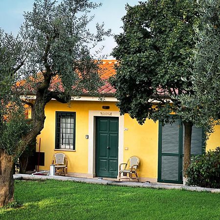 אריצ'ה La Vista Agriturismo Boutique מראה חיצוני תמונה