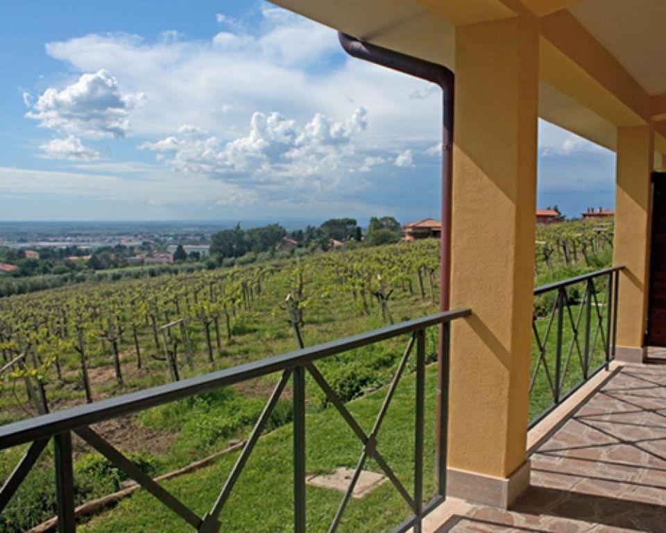 אריצ'ה La Vista Agriturismo Boutique מראה חיצוני תמונה